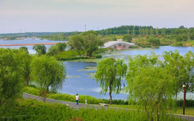 山东安丘汶河湿地公园景观生态修复与提升设计 |  杭州园林设计院 