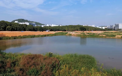 东莞山水田园环境品质改造提升工程 | 东大景观 